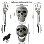LRIGYEH Halloween Decorations Outdoor Skeleton Stakes with Crow Set, Groundbreakers for Best Halloween Yard Decor, Graveyard Decoration for Garden Lawn
