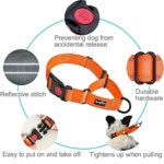 haapaw 2 Packs Martingale Dog Collar with Quick Release Buckle Reflective Dog Training Collars for Small Medium Large Dogs (Collar+Leash, L Neck 17″-21″, Orange, 1+1 Packs)