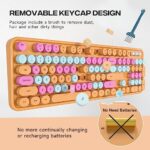 Dilter Wired Keyboard, 104 Keys Full-Sized Typewriter Keyboards, USB Plug and Play Office Keyboard with Number Pad, Caps Indicators, Foldable Stands for Windows, PC, Laptop, Desktop (Orange Colorful)