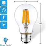 3 Pack A19 Filament LED Orange Light Bulbs – E26 Base 8W 75 Watt Equivalent Vintage LED Orange Bulb LED Decorative Lighting Orange LED Bulb for Party Decoration, Porch, Home, Halloween Light Bulbs