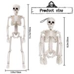 XIMISHOP 2pcs Skeleton Halloween Decoration, 16” Full Body Posable Halloween Hanging Plastic Skeleton Decoration with Movable Joints for Halloween Decoration Indoor Outdoor