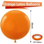 Bezente Orange Giant Balloons 36 Inch – 8 Pack Jumbo Orange Balloons Large Round Orange Latex Balloons for Photo Shoot Birthday Graduation Baby Shower Halloween Party Decorations