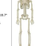 Halloween Skeletons Decorations, 16″ Full Body Realistic Faux Human Skeleton, Skull Halloween Decor for Table Haunted House Props