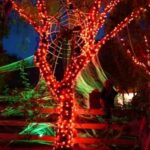 JMEXSUSS 600 LED Orange Solar Lights, 207 ft Solar String Lights, 8 Modes Orange Solar Halloween Lights Outdoor Waterproof for Halloween Decorations Party Christmas Tree Bushes Xams