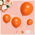 Henviro Orange Latex Different Size Balloons -139PCS 18/12/10/5 Inches for Balloon Arch Garland Kit. For Birthdays, Baby Shower, Graduation, Wedding, gender reveal, Bachelorette Parties Decorations
