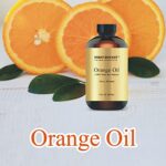 100% Pure Orange Essential Oil – Premium Orange Oil for Aromatherapy, Massage, Topical & Household Uses – 1 fl oz (Orange)