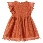 Niyage Toddler Girls Elegant Lace Pom Pom Flutter Sleeve Party Princess Dress Brick Red 120