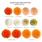 ANSOMO Orange Tissue Paper Pom Poms Party Decorations Burnt Orange Peach Tan Ivory Gold Flowers Wall Hanging Décor Table Centerpieces Supplies Little Cutie Birthday Baby Shower Wedding Classroom