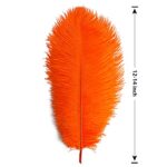 THARAHT Orange Ostrich Feathers 12pcs Large Natural Bulk 12-14Inch 30cm-35cm for Wedding Party Centerpieces Halloween and Home Decoration Feathers