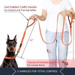 Plutus Pet Dog Leash 6ft Long,Traffic Padded Two Handle,Heavy Duty,Reflective Double Handles Lead for Control Safety Training,Leashes for Large Dogs or Medium Dogs,Dual Handles Leads(Orange)