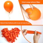 Orange Balloons 12 inch, 100 Pack Burnt Orange Latex Balloons Helium Quality for Halloween Birthday Wedding Baby Shower Party Decorations (with Orange Ribbon)