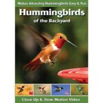 Birds of the Backyard: Make Your Backyard A Wild Bird Sanctuary; chickadees, robins, nuthatches, purple finches, cardinals, mourning doves, woodpeckers, cardinals, bluebirds, goldfinches, warblers, tangers and hummingbirds and more!