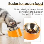 SuperDesign Mess Free 15° Slanted Bowl for Dogs and Cats, Tilted Angle Bulldog Bowl Dog Feeder, Non-Skid & Non-Spill, Easier to Reach Food S/0.5 Cup Bright Orange