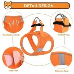 PWOD Dog Harness with Leash Set, No-Pull Step-in Reflective Pet Harness with 1 Leash Clips, Adjustable Soft Padded Easy Walk Dog Vest for Small Medium Large Dogs, Cats(Orange, Small)