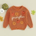 Karwuiio Toddler Baby Girl Boy Knit Sweater Round Neck Long Sleeve Pullover Sweatshirt Fall Winter Clothes (Pumpkin Orange, 12-18 Months)