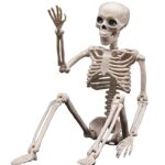 Halloween Skeletons Decorations, 16″ Posable Plastic Skeleton 5 Packs, Full Body Skeleton Bulk with Movable Joints, Realistic Spooky Scary Skeletons for Outdoor Indoor Halloween Party Haunted House Graveyard Props Decor