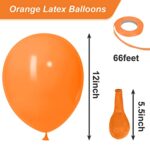Orange Balloons Latex Party Balloons, 100pcs 12 Inch Orange Helium Balloons for Party Decoration Like Birthday Party, Baby Shower, Wedding, Gender Reveal, Graduation Party (with Orange Ribbon)