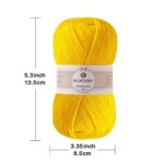 2 Pcs Crochet Yarn, Feels Soft 280 Yards Assorted Colors 4ply Acrylic Yarn,Yarn for Crochet & Hand Knitting-Orange