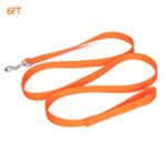 Siumouhoi Strong Durable Nylon Dog Training Leash, 1 Inch Wide Traction Rope, 6 ft 10ft 15ft Long, for Small and Medium Dog (Orange, 6 Feet)