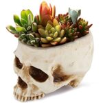 READAEER Skull Planter Candy Bowl Resin Skull Shaped Flower Pot for Home Office Indoor Desk Decorations – White