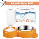 Azwraith Dog Bowls, Cat Food and Water Bowl Set with Water Dispenser and Stainless Steel Bowl for Cats and Small Dogs – Orange