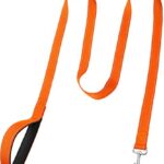 FunTags 6FT Reflective Dog Leash with Soft Padded Handle for Training,Walking Lead for Large & Medium Dog,1 Inch Wide,Orange