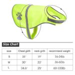 Geyoga 2 Pieces Dog Reflective Vest Adjustable Dog Safety Vest Pet Dog High Visibility Apparel for Outdoor Activities Walking Hunting (Orange, Fluorescent Yellow,L)