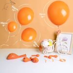 Henviro Orange Balloons Difference Size – 100 Pcs 5/10/12/18 Inch Orange Balloons Quality Latex Balloons As Birthday Party Balloons/Graduation Balloons/Valentines Day Balloons/Baby Shower/Wedding
