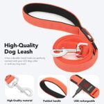 Colaseeme LED Dog Leash Light Up Dog Leash 4 Feet Micro USB Rechargeable Nylon Webbing Glow Safety Standard Dog Leashes for Dogs (Orange with 3 Reflective Wires)