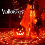 Hopolon Orange Halloween Lights, 2PACK 13ft 50 Orange Lights String,120V UL Certified Orange String Lights, Plug in Green Wire Fall Lights Waterproof for Spooky Thanksgiving Party Decor(2pcs Orange)