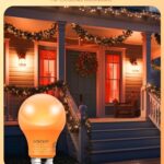 EDISHINE Halloween Orange Light Bulbs, A19 9W(60W Equivalent) Orange LED Bulbs, E26 Base LED Orange Colored Light Bulb for Halloween Decorations, Christmas, Front Porch, 4 Pack, ETL Listed