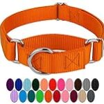 Country Brook Petz – Orange Martingale Heavyduty Nylon Dog Collar – 21 Vibrant Color Options (1 Inch Width, Medium)