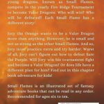 Small Flames: Jory the Orange Dragon