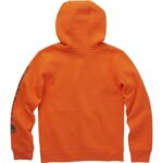 Carhartt Boys’ Long Sleeve Hooded Sweatshirt, Exotic Orange, Large (14/16)