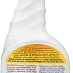 Orange Guard Home Pest Control Spray – Kills and Repels Ants, Roaches, Fleas and More – Indoor/Outdoor Natural Organic Formula – 32 fl oz (2 Pack)