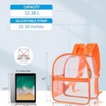 Paxiland Clear Backpack Stadium Approved 12×12×6 with Reinforced and Wider Shoulder Straps, Small Clear Bag for Schools, Concerts, Work, Festivals and Sporting Events – Orange