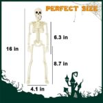 Halloween Skeleton Decoration, 16″ Posable Plastic Skeleton, Halloween Full Body Skeleton with Movable Joints, Realistic Spooky Skeletons for Halloween Haunted House Graveyard Props Decor, 4 Packs