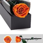 Preserved Rose, Preserved Flowers for Delivery Prime, Single Rose Womens Gifts for Christmas, Real Rose Gifts for Her, Birthday Gifts, Valentines Flowers for Girlfriend – Dark Orange Rose