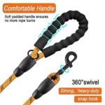 BARKBAY Dog leashes for Large Dogs Rope Leash Heavy Duty Dog Leash with Comfortable Padded Handle and Highly Reflective Threads 5 FT for Small Medium Large Dogs(Orange)