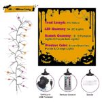 Lecone 6 Ft 54 LED Halloween Willow Vine Lights Decor Garland with Pumpkins & Bats, Orange and Purple Halloween Lights Battery Operated & USB, Halloween Indoor Lights with Timer 8 Modes Waterproof