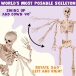 JOYIN 5.6 FT Halloween Posable Life Size Skeleton Full Body Realistic Bones with Movable Joints for Halloween Indoor and Outdoor Decoration