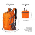 Sharkborough Daypack Backpacks, Orange, 40 Long