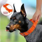 Yunleparks Metal Buckle Dog Collar for Large Dogs,Tactical Dog Collar with Control Handle, Heavy Duty Nylon Dog Collar for Dog Walking(XL,Orange)