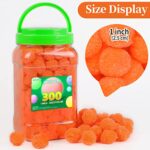 Eppingwin 300pcs 1 Inch Orange Pom Poms, Soft Pompoms for Crafts, Pom pom Balls, Pom Poms for Arts & Crafts DIY Projects(Orange)