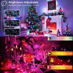 BrizLabs USB Christmas Fairy String Lights, 33ft 100 LED Color Changing Christmas Fairy Lights with Remote, USB Powered RGB Multi Colored Xmas Tree Dimmable Twinkle Light for Halloween Christmas