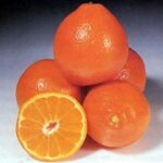 ORANGES LARGE FRESH FRUIT PRODUCE 4 POUND BAG