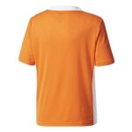 adidas Boys’ Entrada 18 Jersey, Orange, Medium