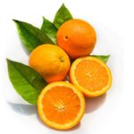 Kejora Navel Oranges – 10 LBS (about 15 counts)