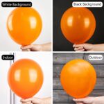 PartyWoo Tangerine Orange Balloons, 50 pcs 12 Inch Dark Orange Balloons, Deep Orange Balloons for Balloon Garland Balloon Arch, Party Decorations, Birthday Decorations, Wedding Decorations, Orange-Y9