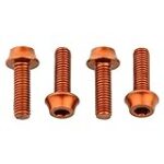 Wolf Tooth Precision Anodized Water Bottle Cage Bolts – 4 Pcs. Orange